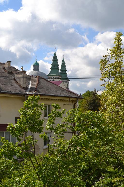 Catedra View Apartment Ternopil Extérieur photo